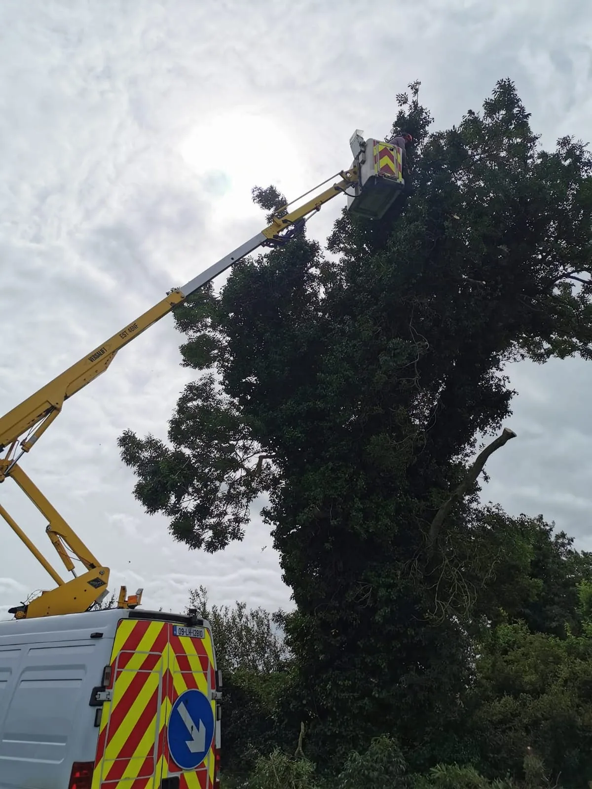 Cherry picker providing controlled access for tree pruning