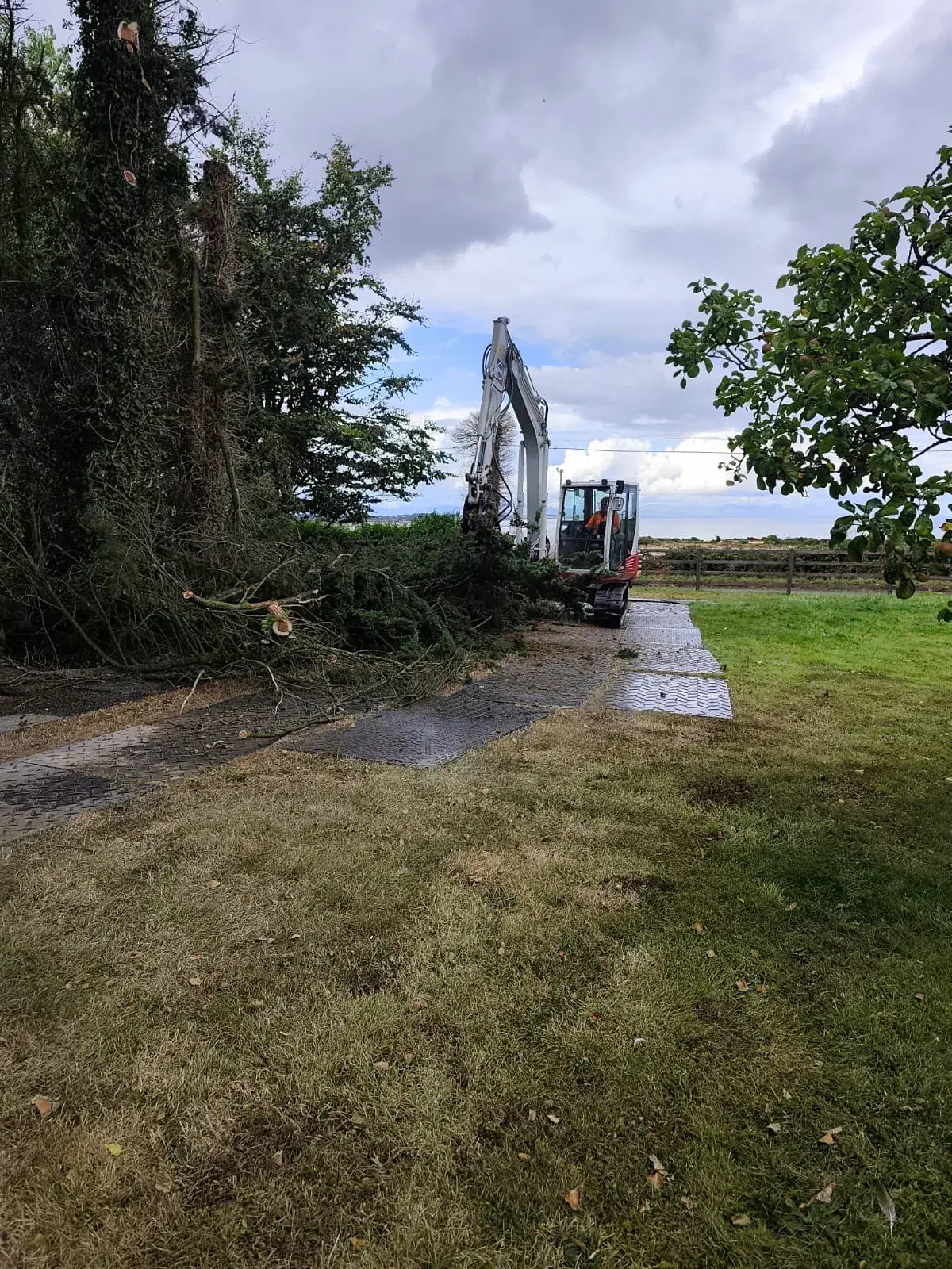 Excavator carrying out tree and site clearance work