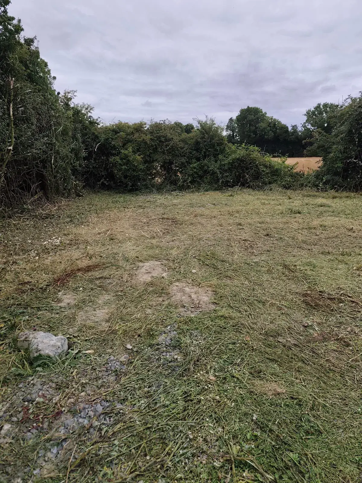 Outdoor ground restored after an overgrown site clearance