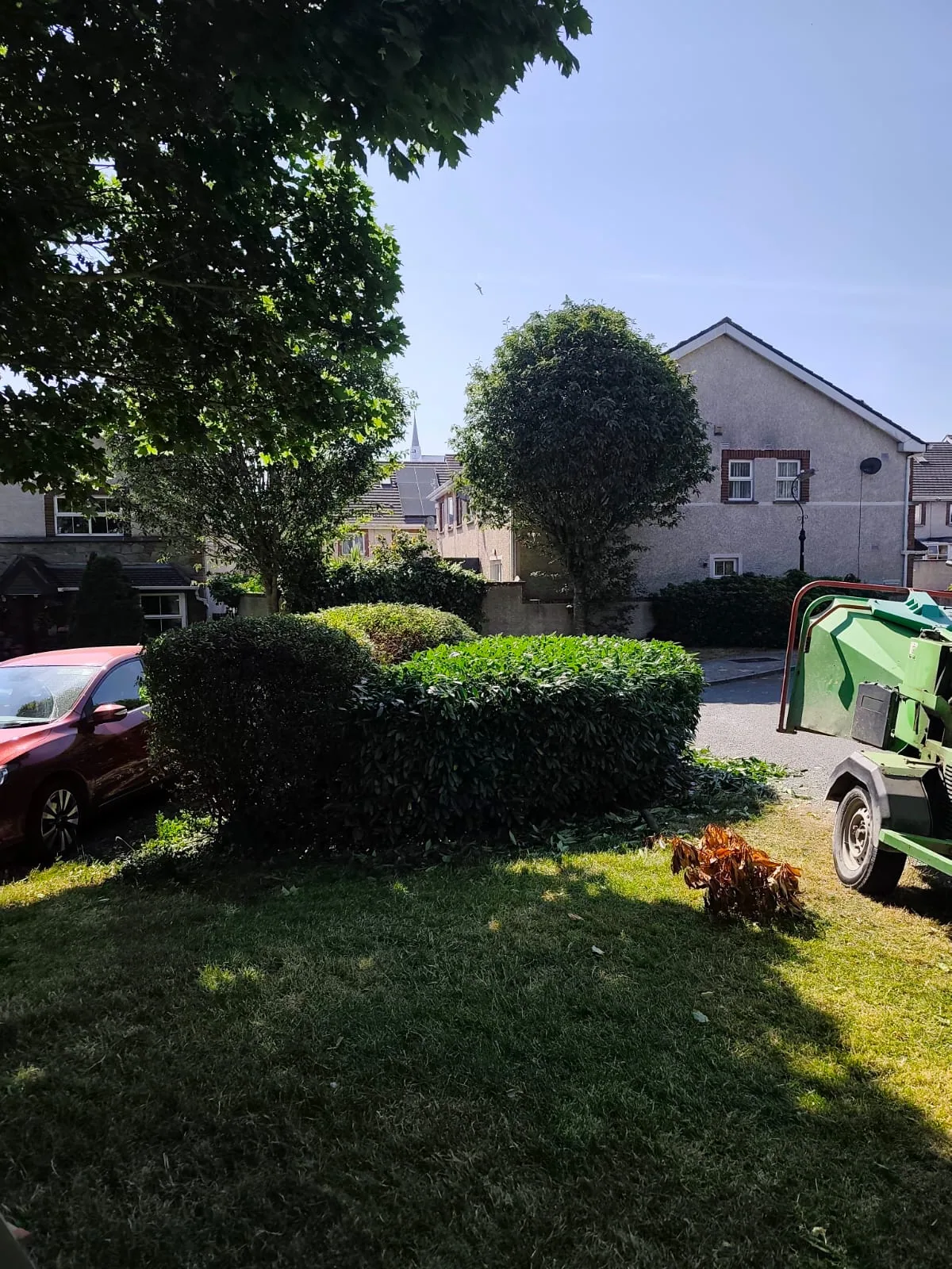 Professionally trimmed garden hedge with a clean level finish