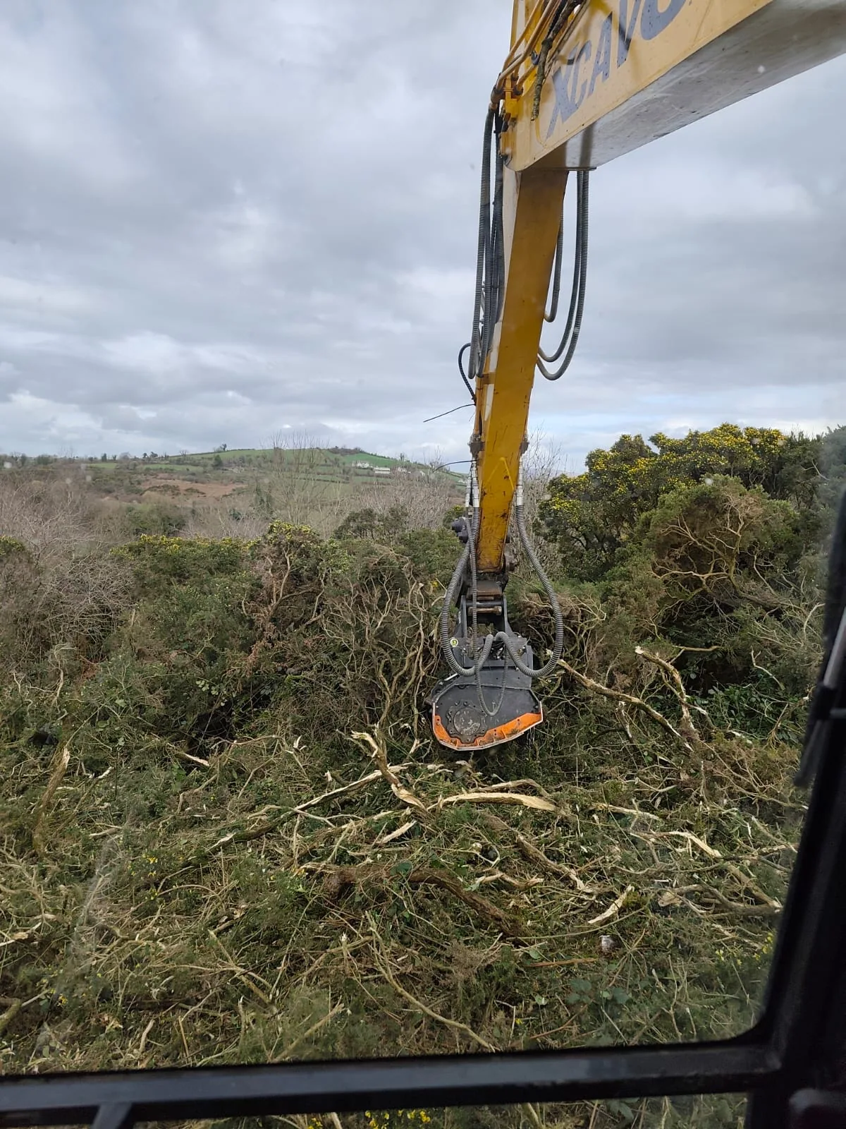 Tracked tree shear attachment handling woody growth during clearance