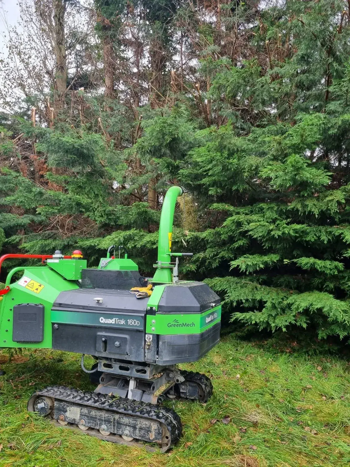 Tracked professional wood chipper positioned beside trees
