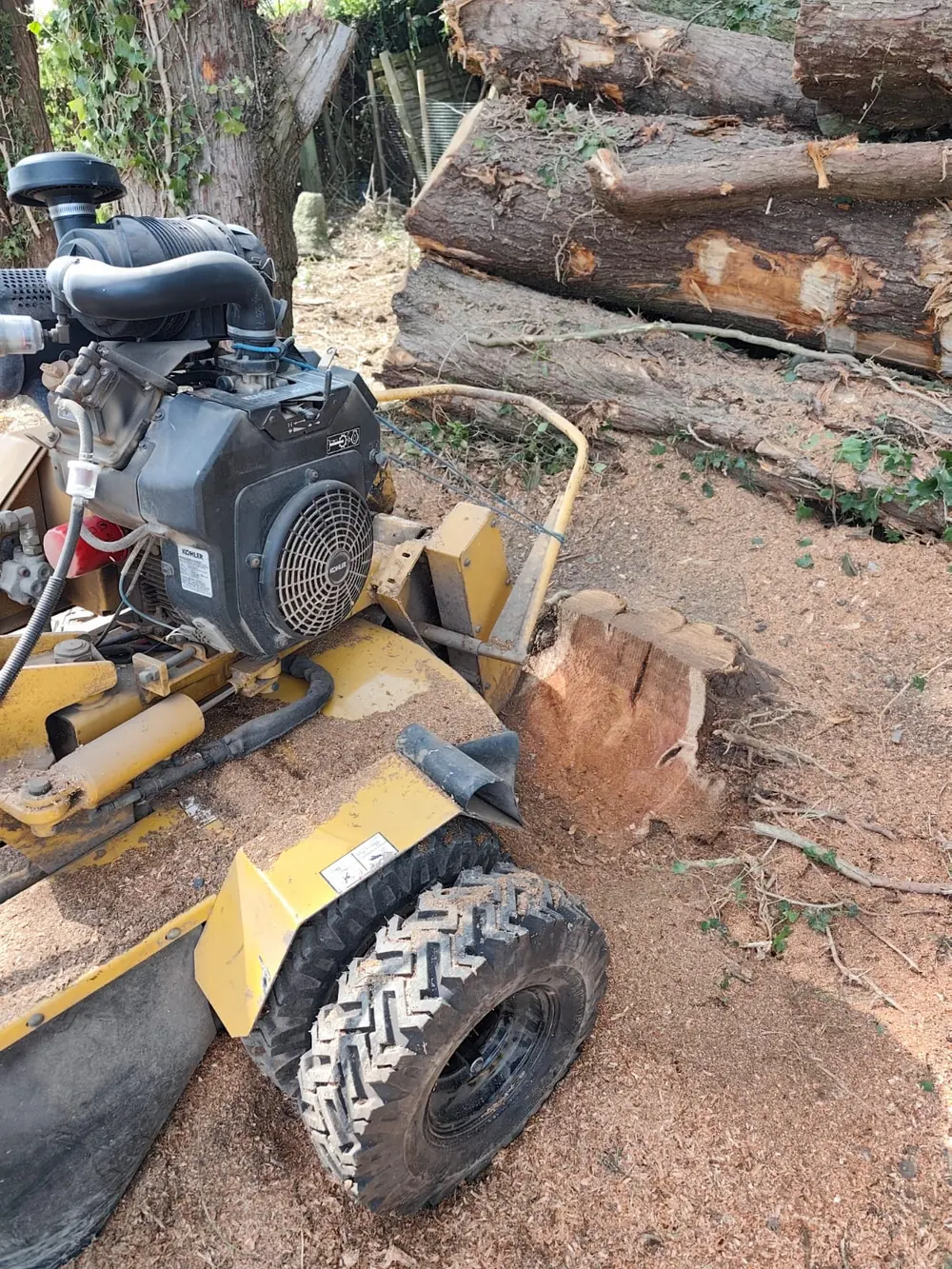Stump grinding machine working beside a cut tree stump and stacked timber