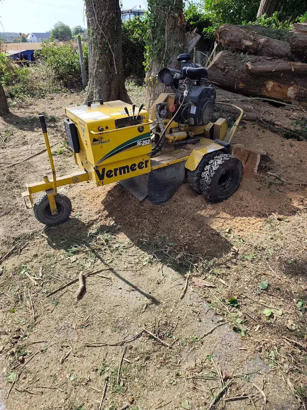 Vermeer stump grinder positioned beside a cut tree stump