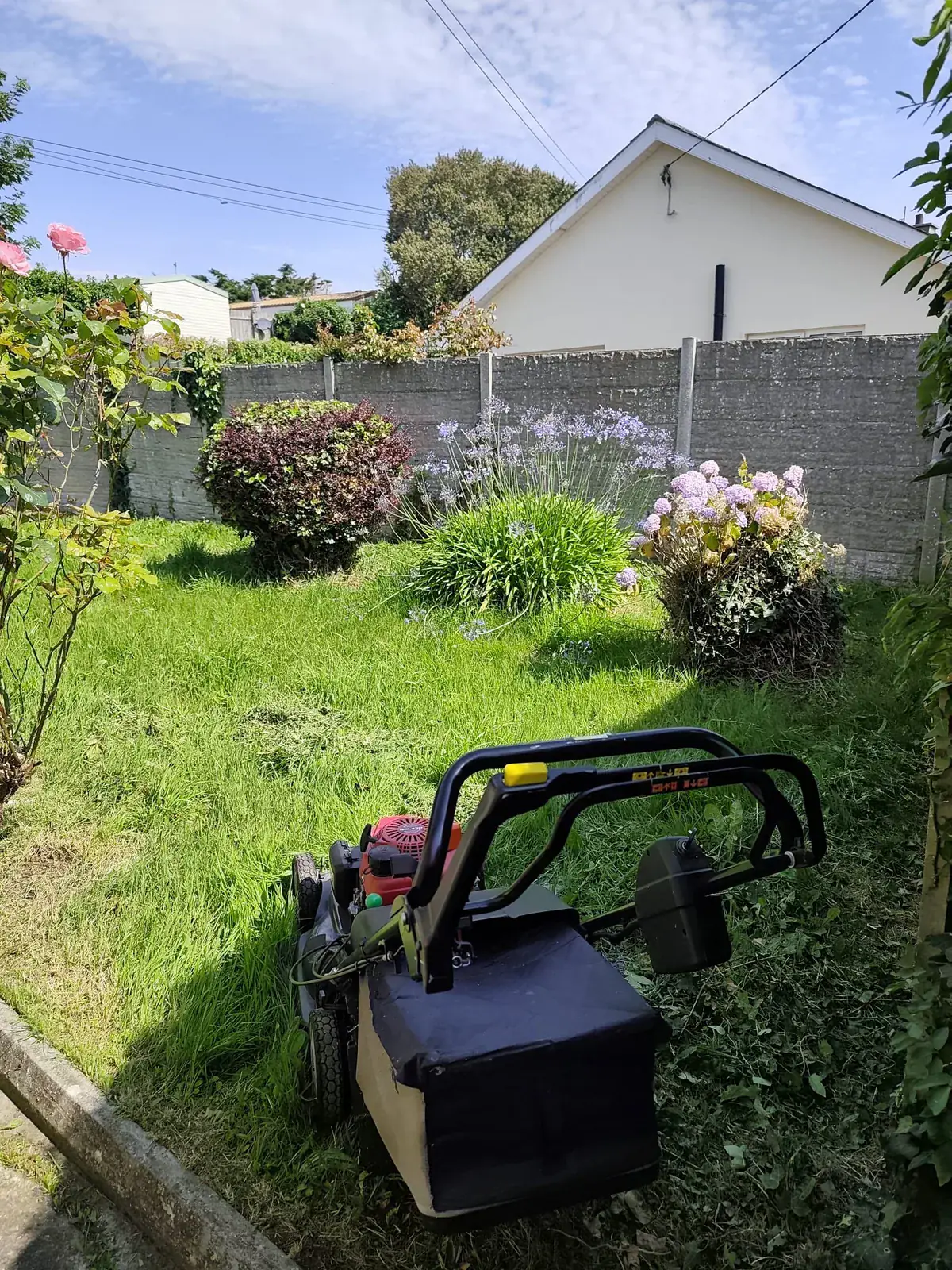 Walk-behind mower working through long garden grass